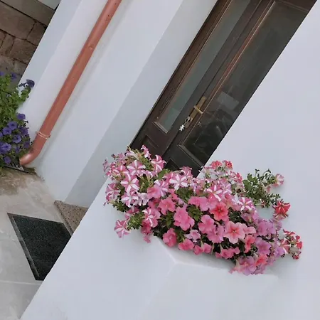 Suite Da Ninna 2 Allai Exterior foto